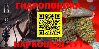 тгк Будённовск