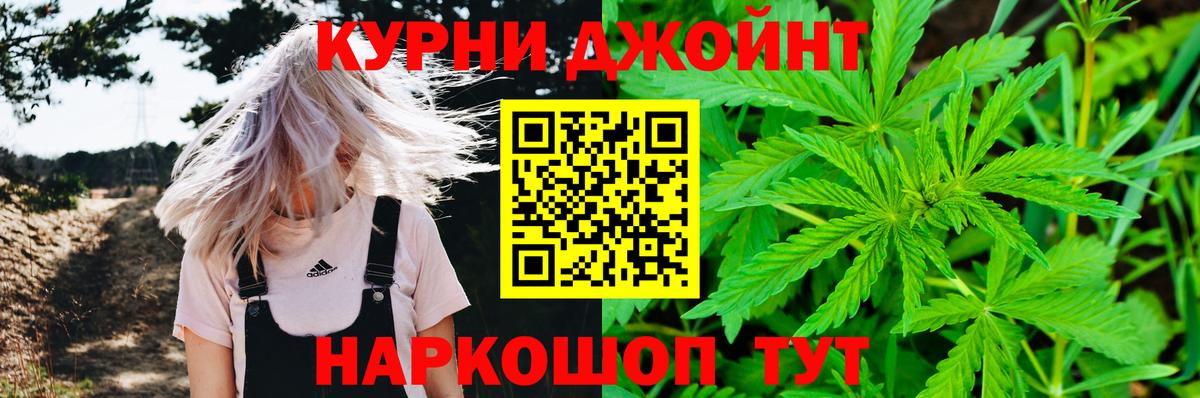 Марихуана сатива Медногорск